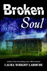 Broken Soul-Laura Wright LaRoche